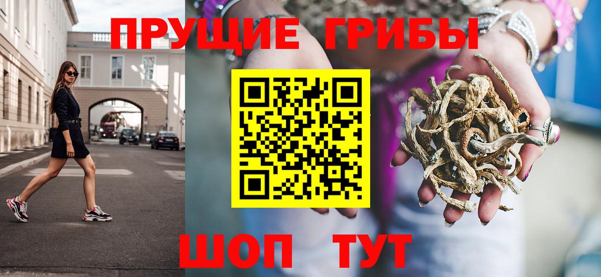 Каменка  Галлюциногенные грибы Psilocybine cubensis  Вход с VPN  Галлюциногенные грибы Psilocybine cubensis 